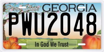 GA license plate PWU2048
