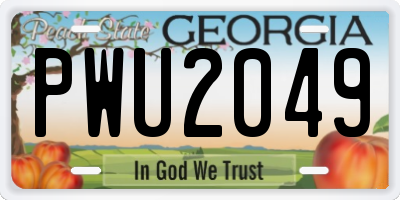 GA license plate PWU2049