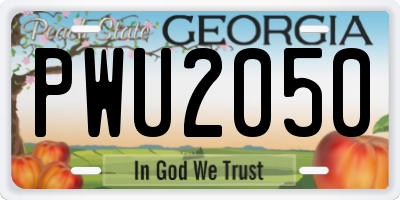 GA license plate PWU2050
