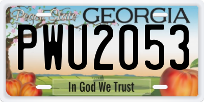 GA license plate PWU2053