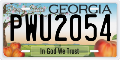 GA license plate PWU2054
