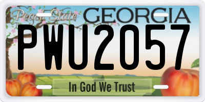 GA license plate PWU2057