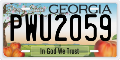 GA license plate PWU2059