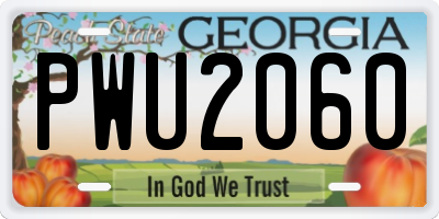 GA license plate PWU2060