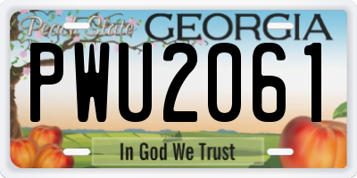 GA license plate PWU2061