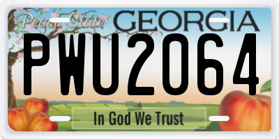 GA license plate PWU2064