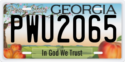 GA license plate PWU2065