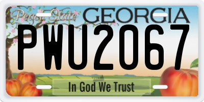 GA license plate PWU2067