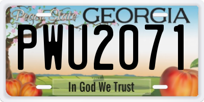 GA license plate PWU2071