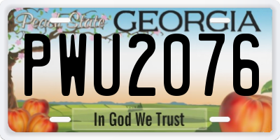 GA license plate PWU2076