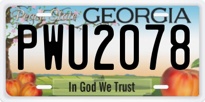 GA license plate PWU2078