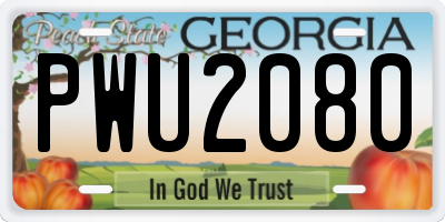 GA license plate PWU2080