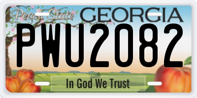 GA license plate PWU2082