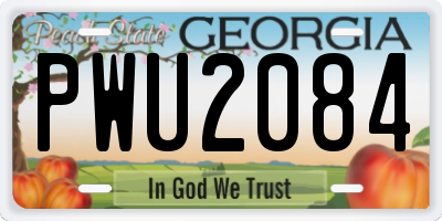 GA license plate PWU2084