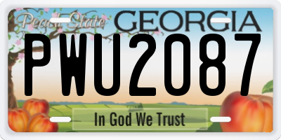 GA license plate PWU2087