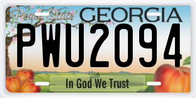 GA license plate PWU2094