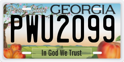 GA license plate PWU2099
