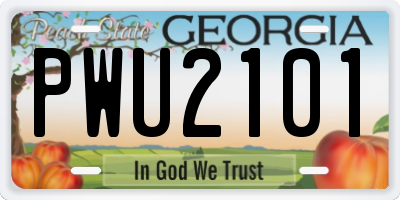 GA license plate PWU2101