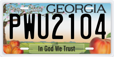 GA license plate PWU2104
