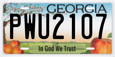 GA license plate PWU2107
