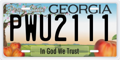 GA license plate PWU2111