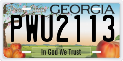 GA license plate PWU2113