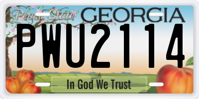 GA license plate PWU2114