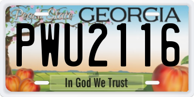 GA license plate PWU2116