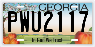 GA license plate PWU2117