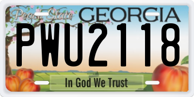 GA license plate PWU2118