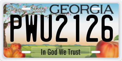 GA license plate PWU2126