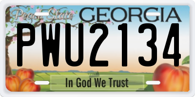 GA license plate PWU2134