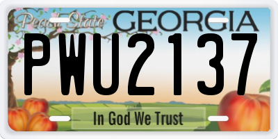 GA license plate PWU2137