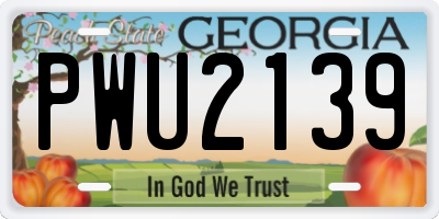 GA license plate PWU2139