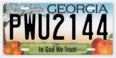 GA license plate PWU2144