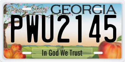 GA license plate PWU2145