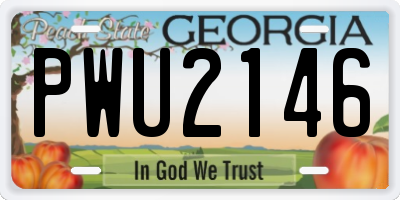 GA license plate PWU2146