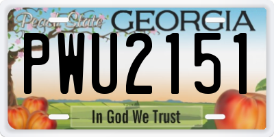 GA license plate PWU2151