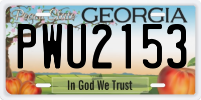 GA license plate PWU2153