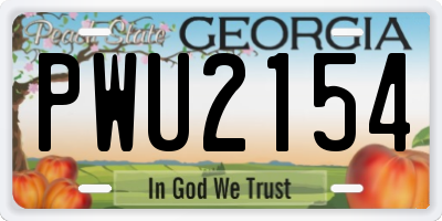 GA license plate PWU2154