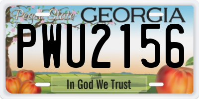 GA license plate PWU2156
