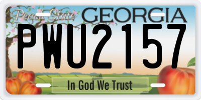 GA license plate PWU2157