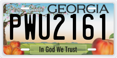 GA license plate PWU2161