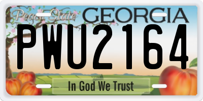 GA license plate PWU2164