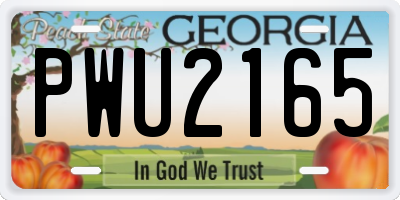 GA license plate PWU2165