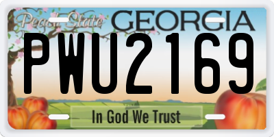 GA license plate PWU2169