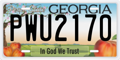 GA license plate PWU2170