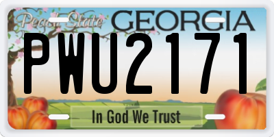 GA license plate PWU2171