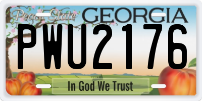 GA license plate PWU2176