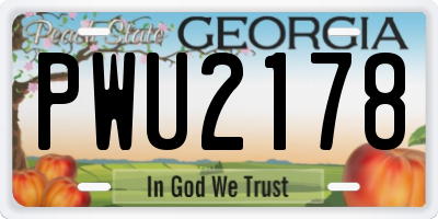 GA license plate PWU2178